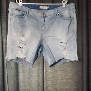 Torrid distressed shorts